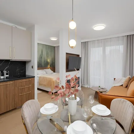 Deluxe Domaniewska With Ac By Renters *
